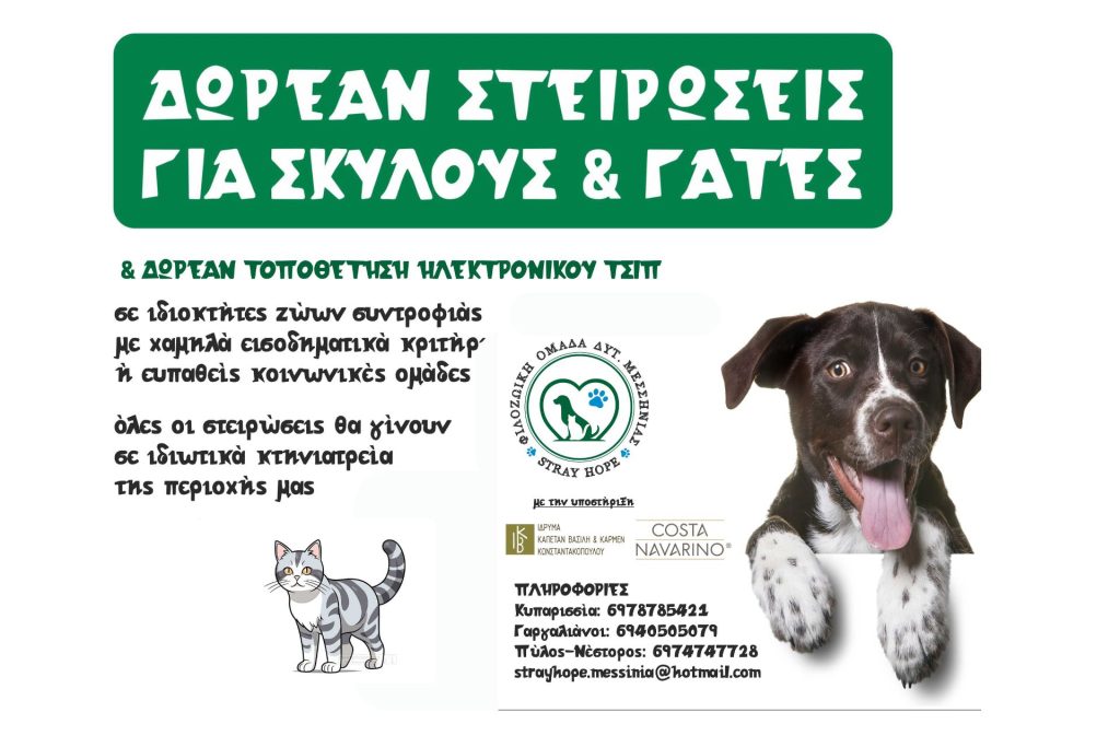 αδέσποτη-ελπίδα-στείρωση-και-στείρωση-σκύλων-και-γατών-στη-Μεσσηνία-Ελλάδα-1