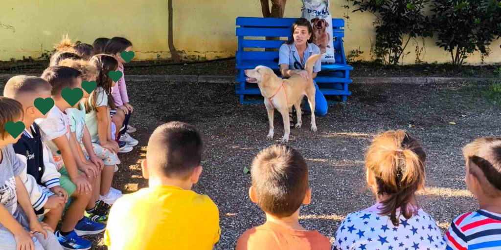 Lessons-Love-Respect-Animals-Schools-stray-hope-messinia