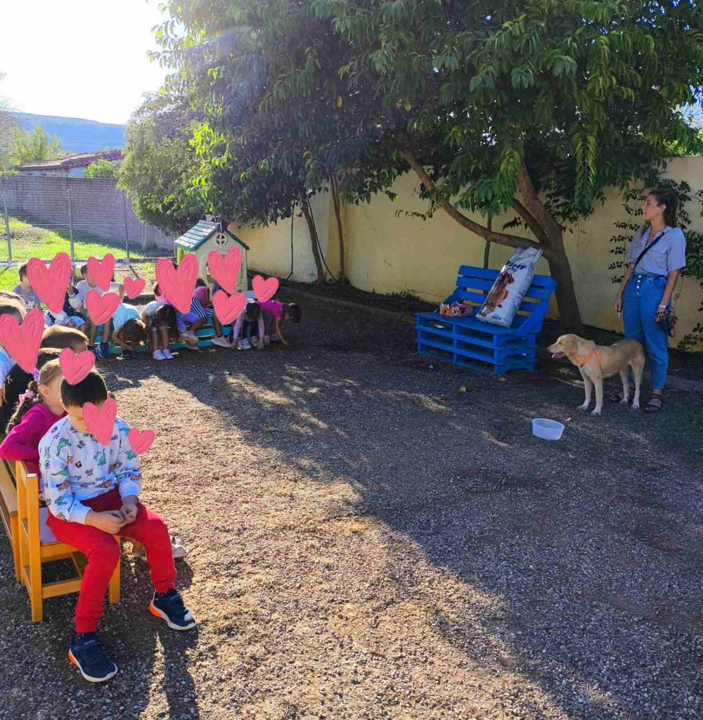 Lessons-Love-Respect-Animals-Schools-stray-hope-messinia