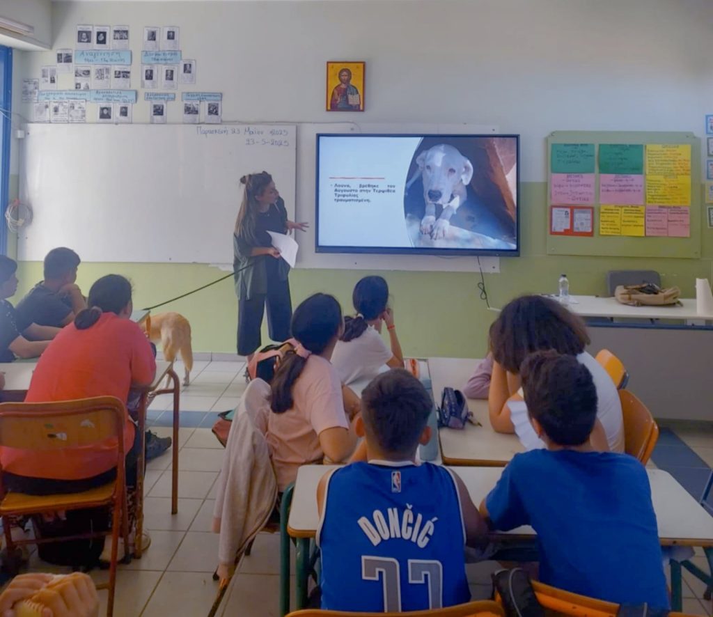 Lessons-Love-Respect-Animals-Schools-stray-hope-messinia