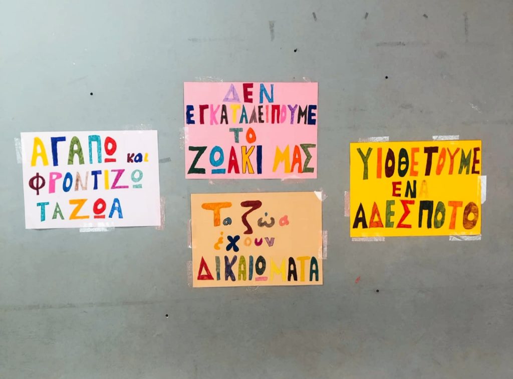 Lessons-Love-Respect-Animals-Schools-stray-hope-messinia